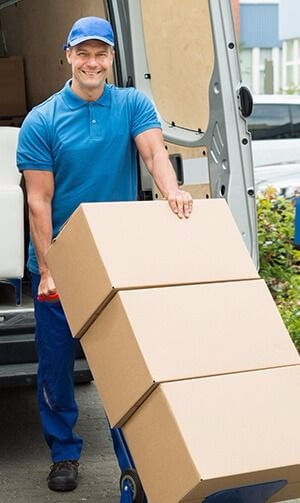 worker loading cardboard boxes